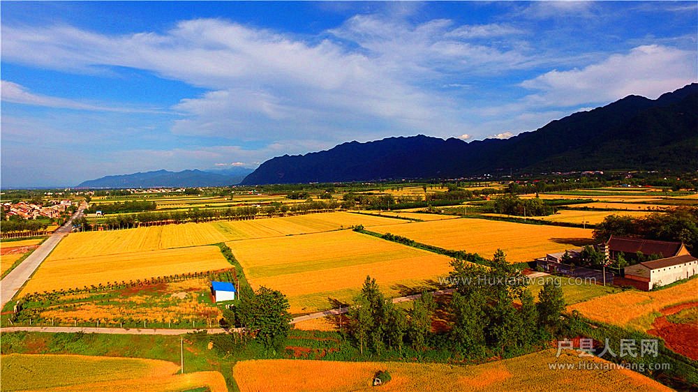DJI_0088.JPG