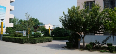 DSC03986.jpg
