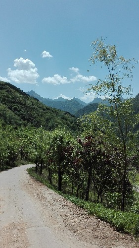 IMG_20160427_132618.jpg