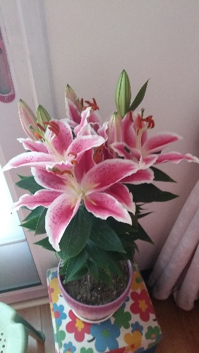 20160610_141343.jpg
