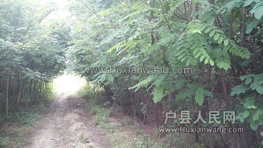 IMG_20160614_192657.jpg