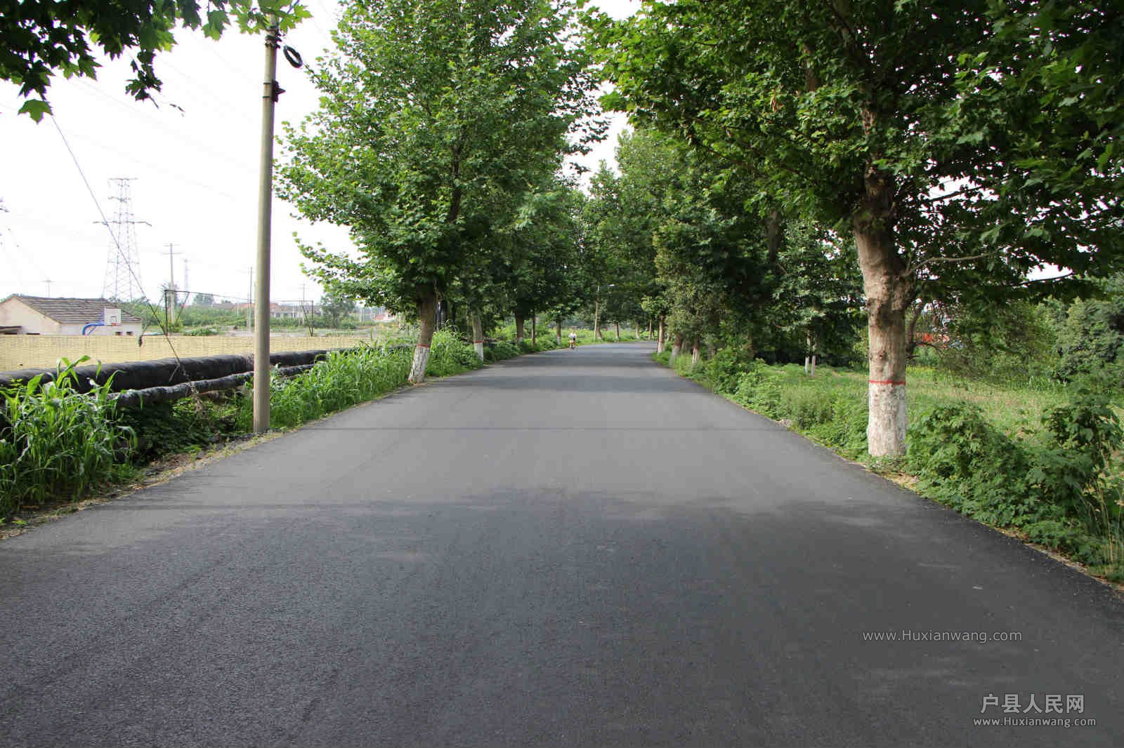 Ƭ 227_meitu_4.jpg