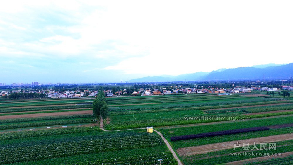 DJI_0012.JPG