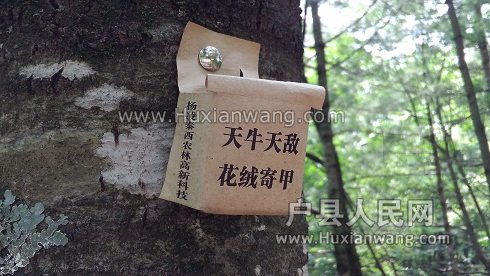 IMG_20160807_143821.jpg