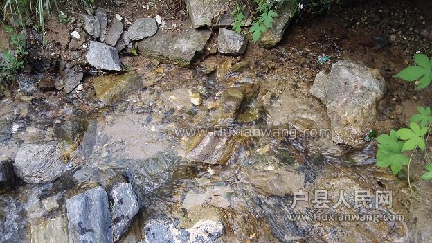 IMG_20160809_185115.jpg