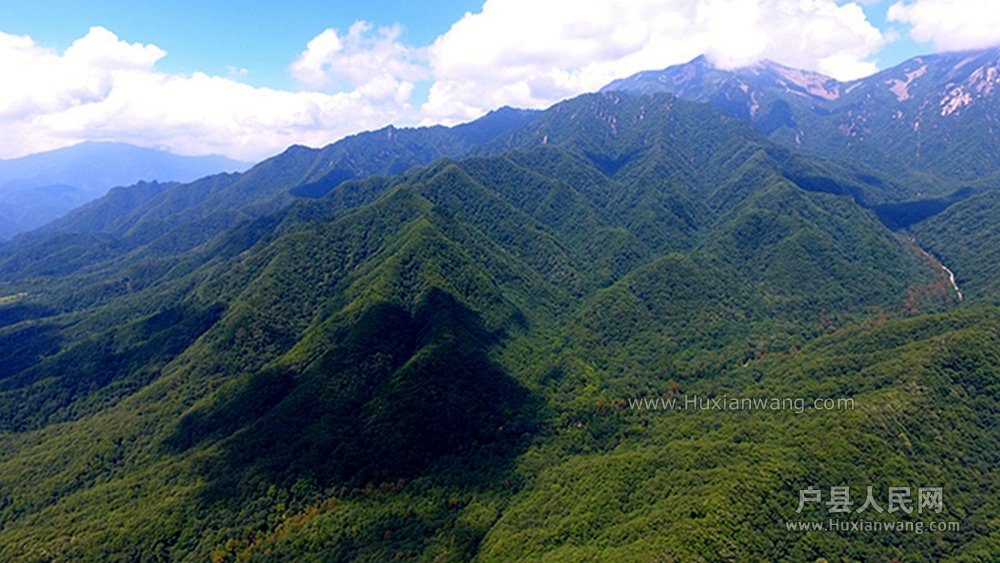 DJI_0037.JPG