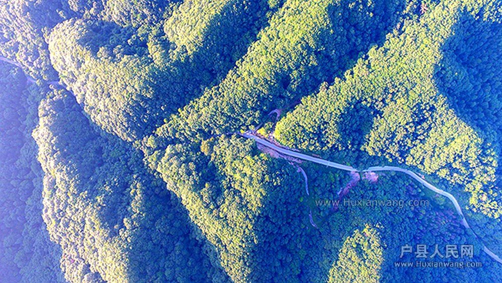 DJI_0142.JPG