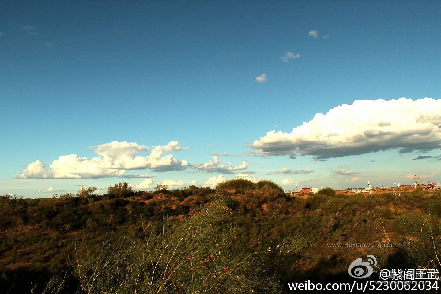 img-04e71dfdef5ca013a8abfb1ab0c8c35c.jpg