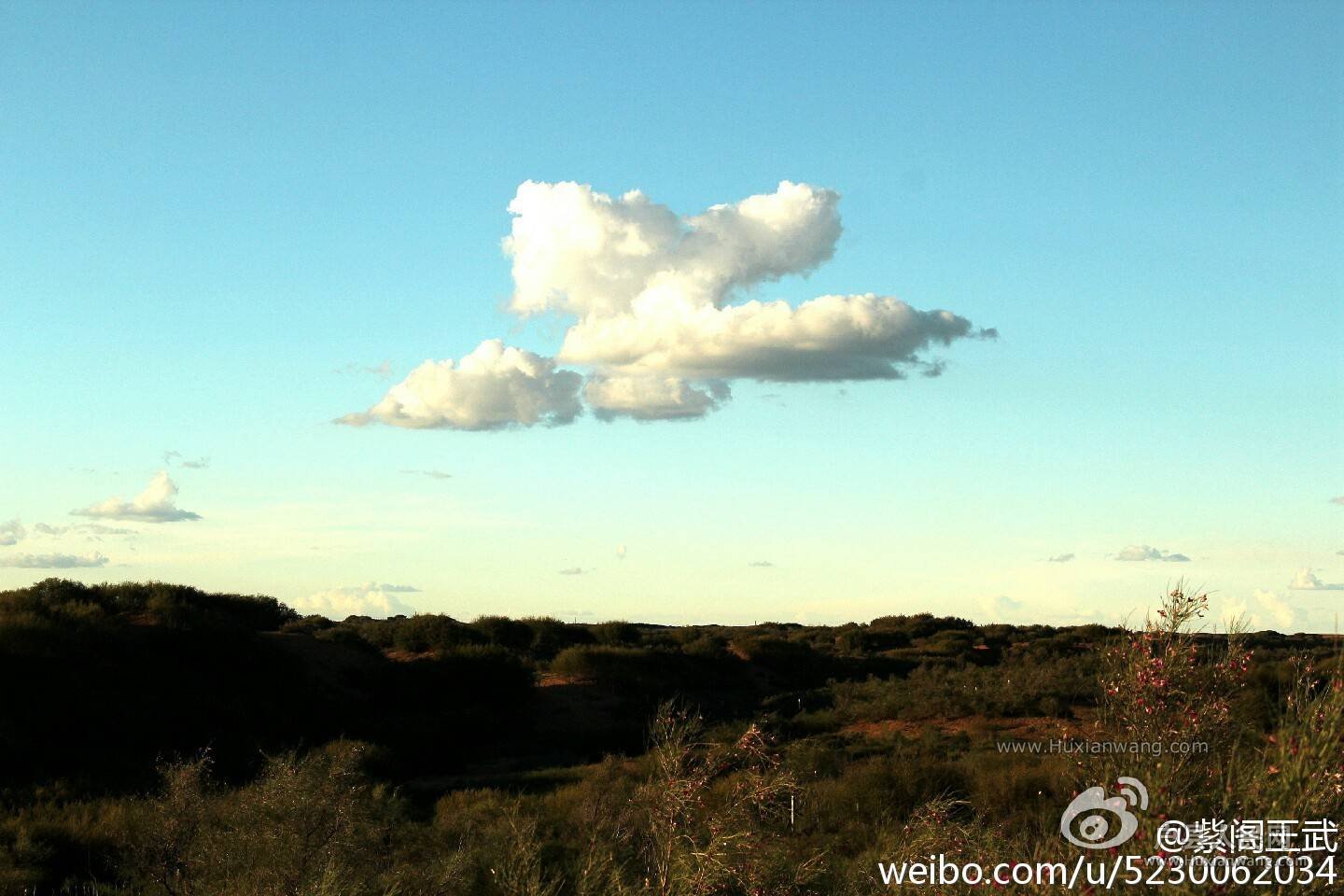 img-c02cc0ac3d60693069850b0fe8dee1d9.jpg