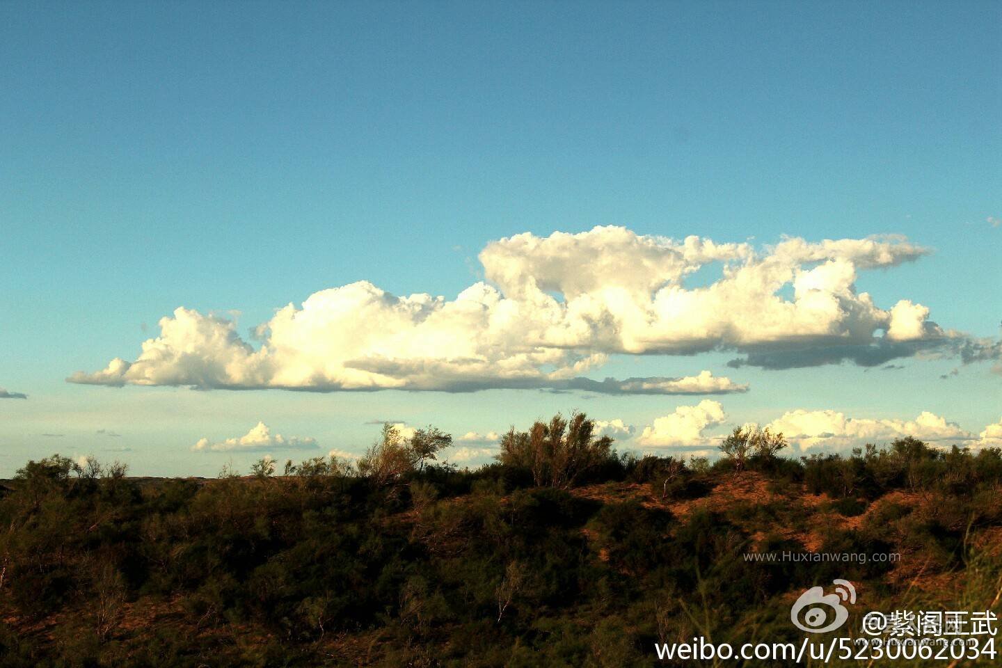 img-e566fba8411dc37b61b570eb4762255c.jpg