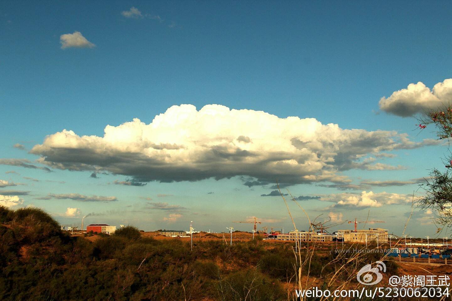img-caed69d312b5330f9cc618dd4b8b3cf2.jpg