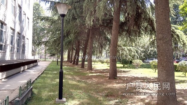 IMG_20160911_114234.jpg