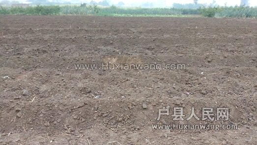 IMG_20160913_064415.jpg