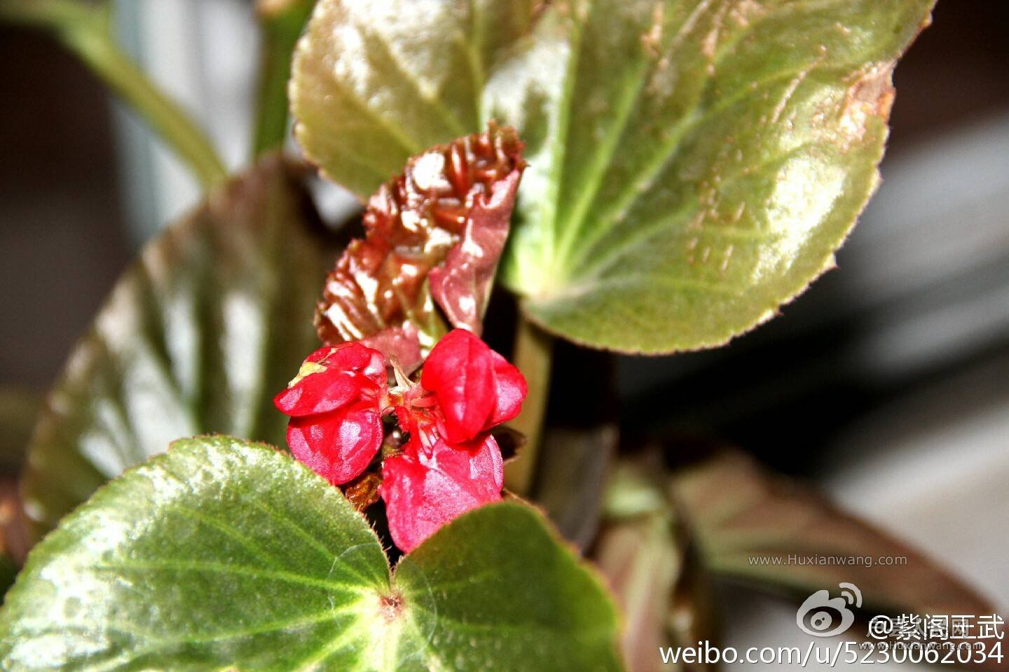 img-92d3a01534f62d7f4371758e1dc0be7b.jpg