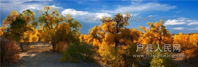 QQͼƬ20161001091642.jpg