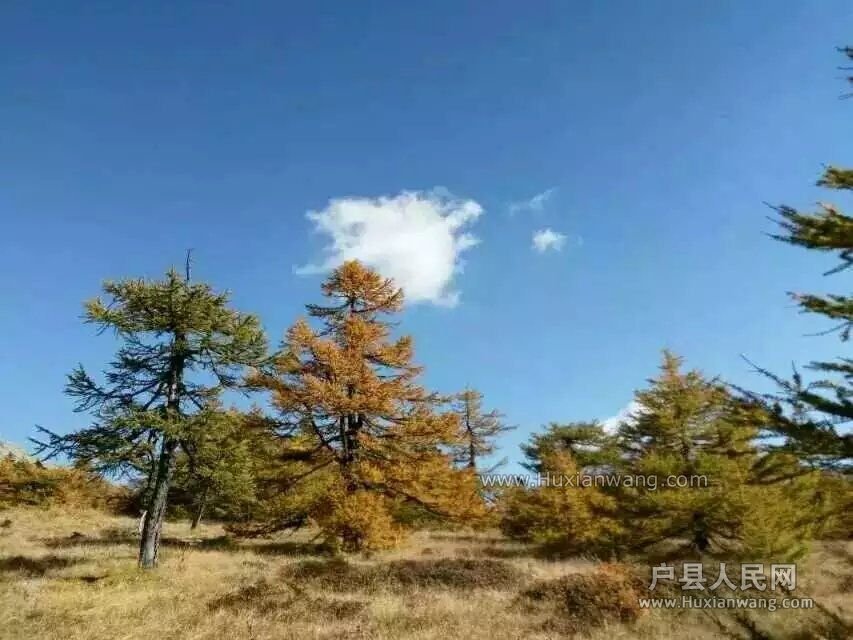 QQͼƬ20161015085618.jpg