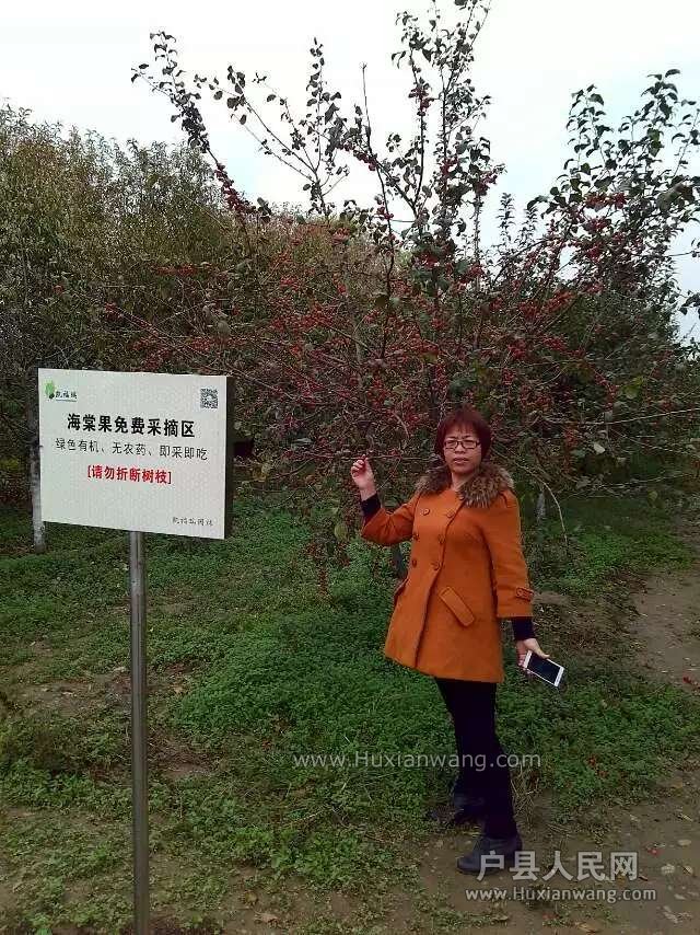 f07051700eb6418869b34f7c33c76b5.jpg