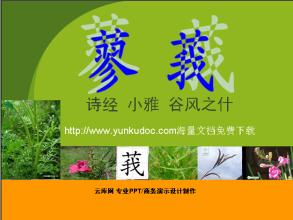 u=3297210767,299767510&amp;fm=15&amp;gp=0.jpg