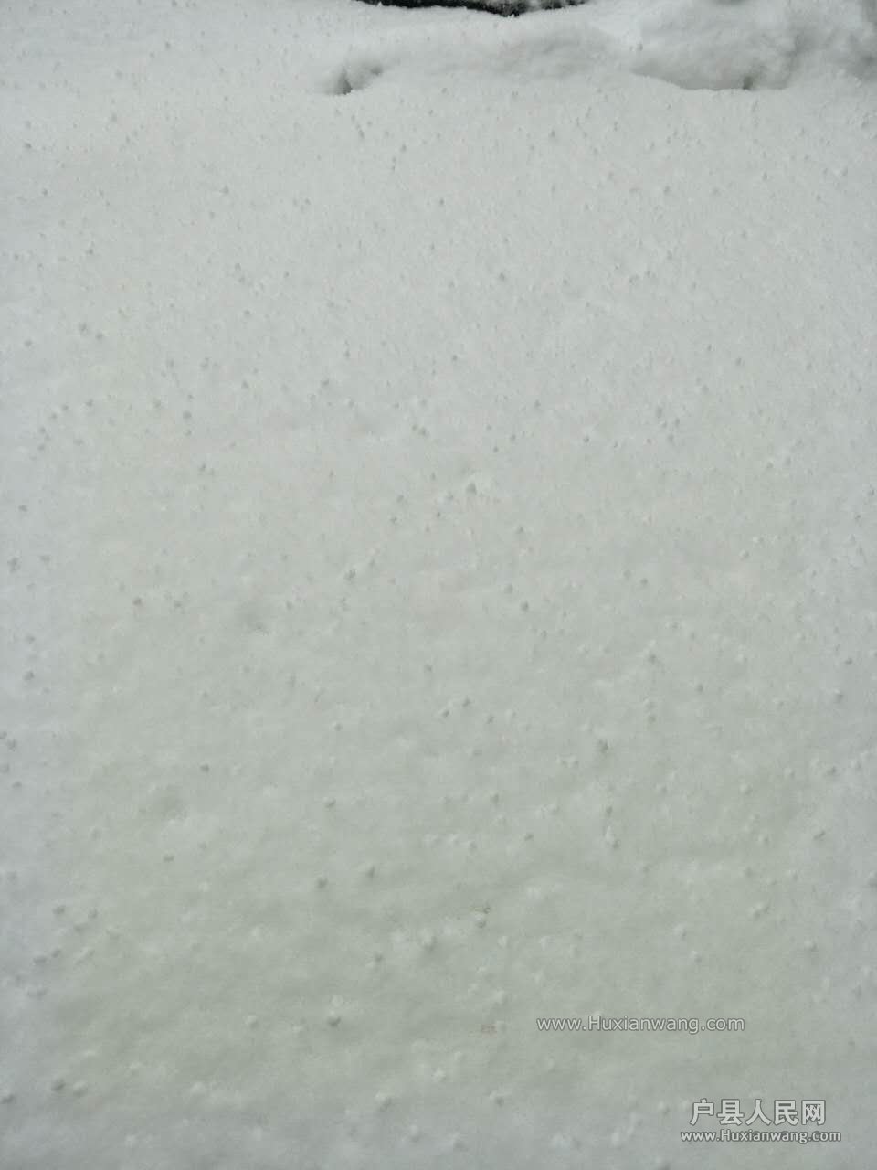 404488858471421208.jpg