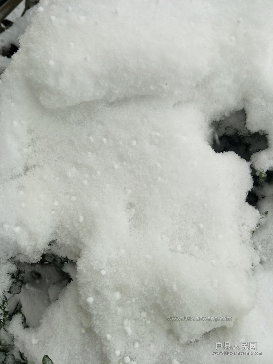 609113280372676660.jpg