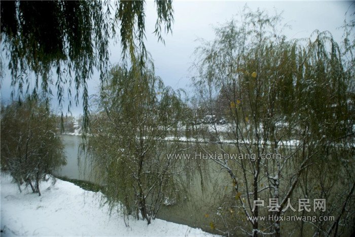 QQͼƬ20161124094040.jpg
