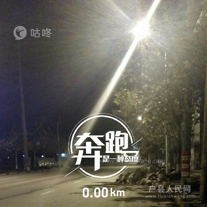 20161126002.jpg