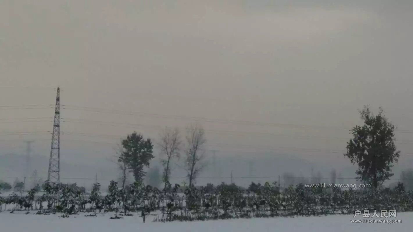 QQͼƬ20161126171511.jpg
