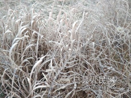IMG_20161216_073527.jpg