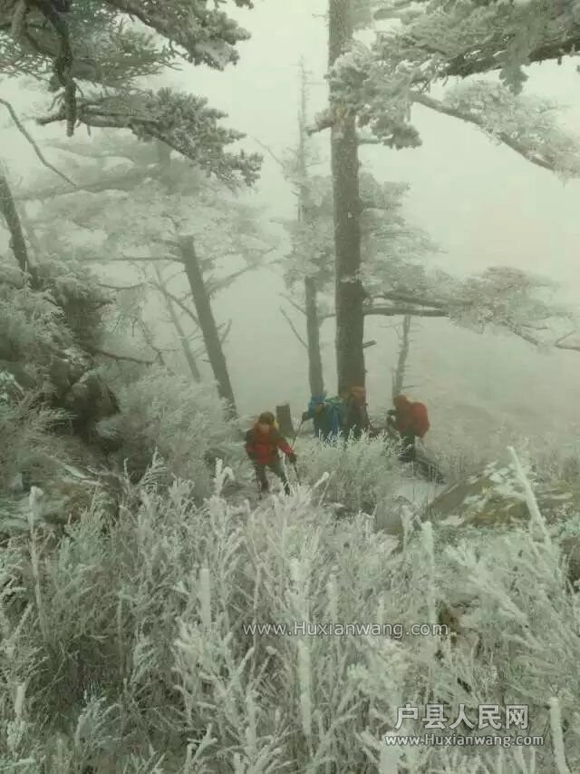 QQͼƬ20161226154734.jpg