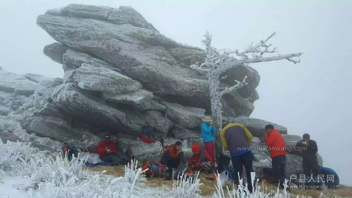 QQͼƬ20161226154920.jpg