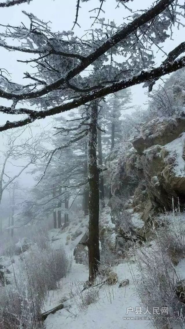 QQͼƬ20161226154948.jpg
