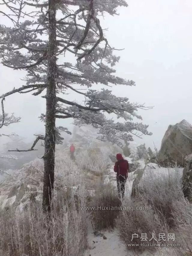QQͼƬ20161226155410.jpg