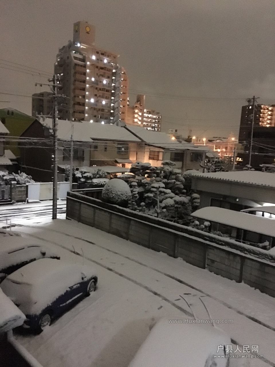 59516262.jpg