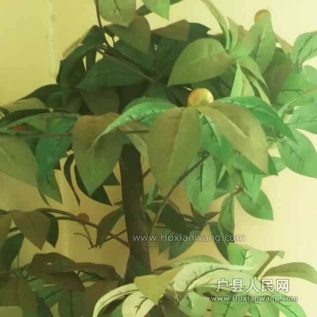 hdImg_6af8d4b3a928879e11911dc775ff49291484622819305.jpg