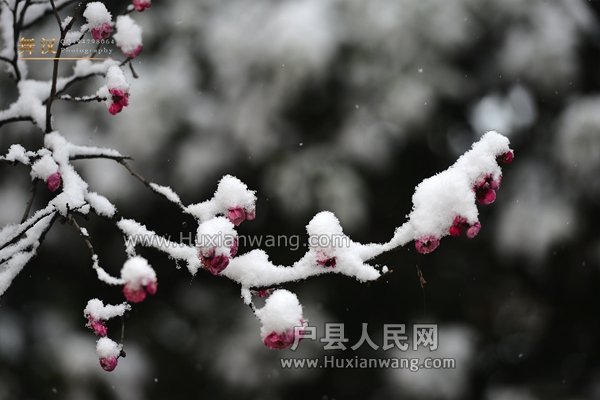 NIKON D800 F4.0 1_800s ISO400 -2_303.jpg