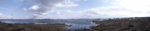 IMG_20170325_162505.jpg