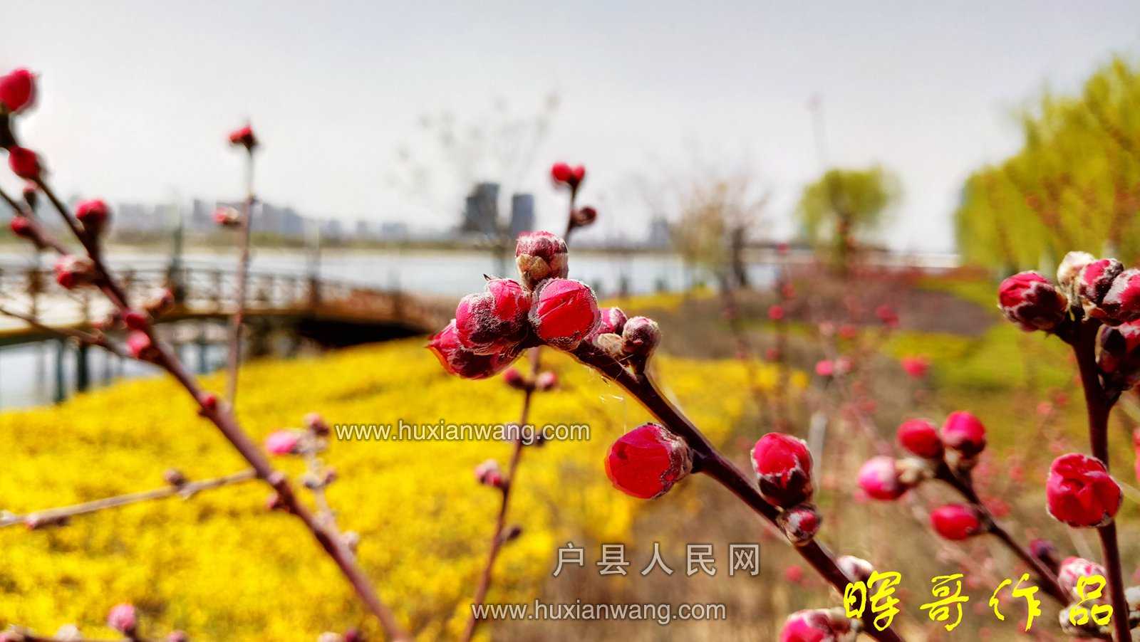 屺ӱߴů03.jpg