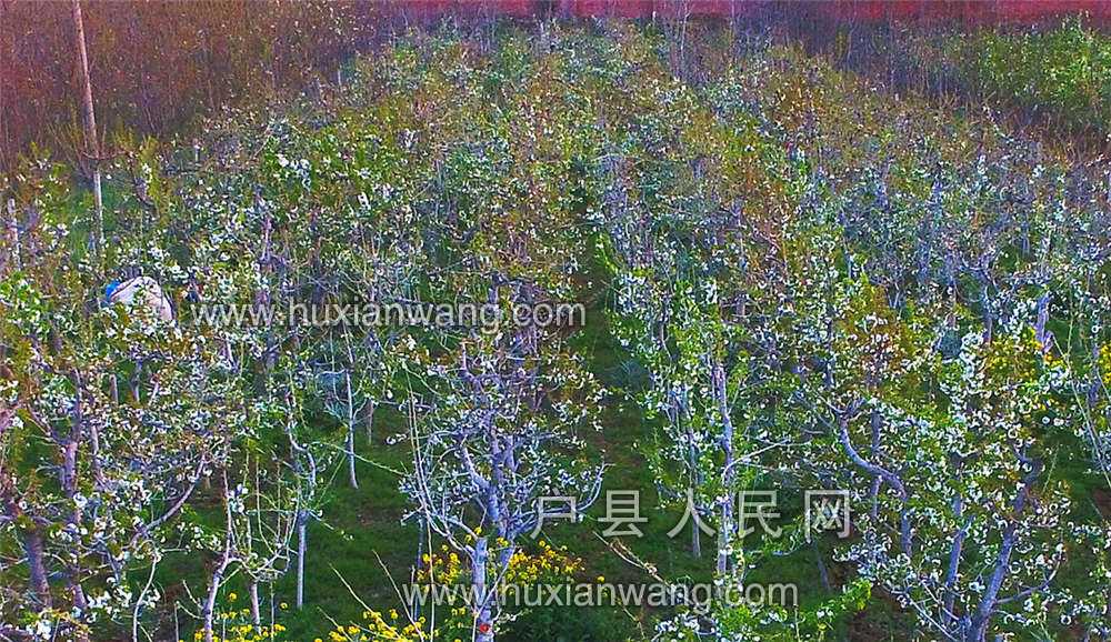 DJI_0067.JPG