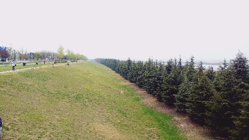 P70403-132115.jpg