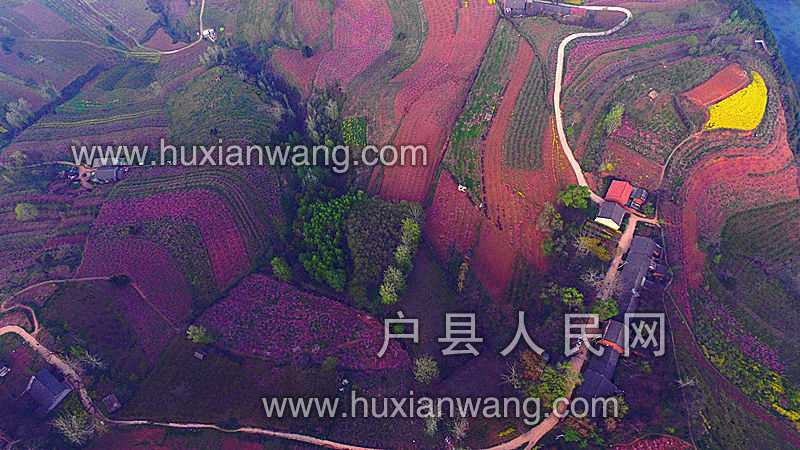 DJI_0001.JPG