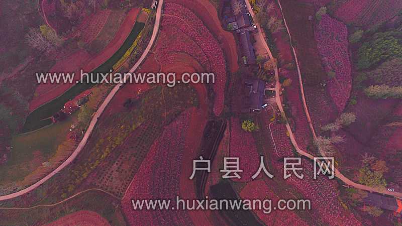 DJI_0002.JPG