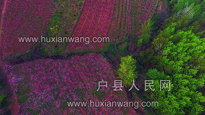 DJI_0019.JPG