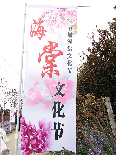 goMeirongTemp_mr1491641062020.jpg