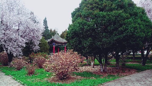 P70408-092531.jpg