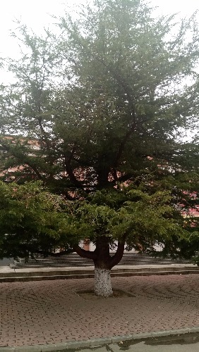P70408-155146.jpg