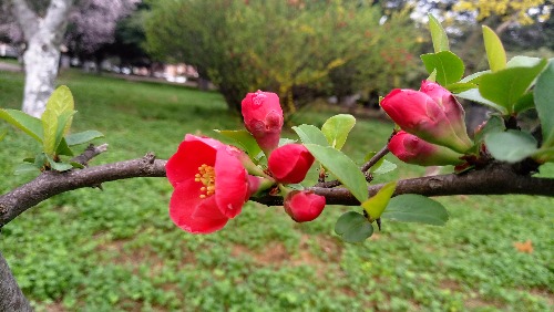 P70408-074836.jpg