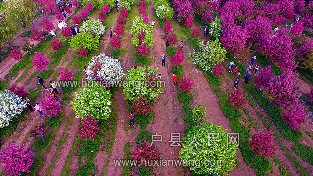 DJI_0060.JPG