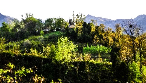 100_1422.jpg