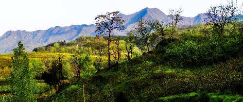 100_1424.jpg