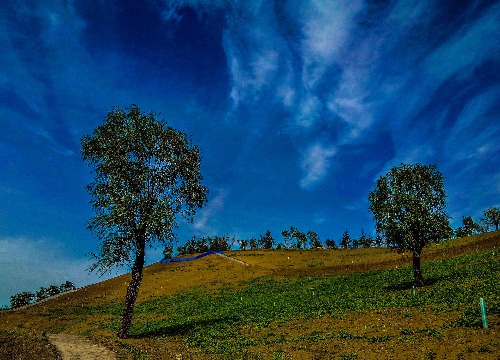 IMG_20170420_154836.jpg